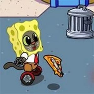Hover Pizza Cats Online Game