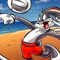 Looney Tunes Cartoons Volleyball Online Game