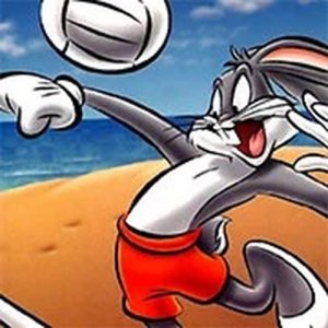 Looney Tunes Cartoons Volleyball Online Game