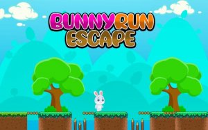 Bunny Run Escape Online Game