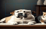 Cats and Dogs Slide Puzzle Online Game