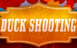 Duck Shooting - Fun Carnival Game