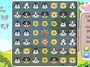 Canine Connect Puzzle