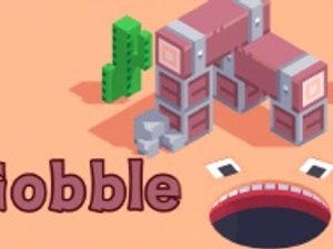 Gather Quick Puzzle Challenge